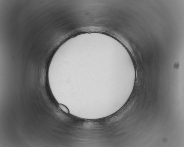 X0000116670109201001251247
