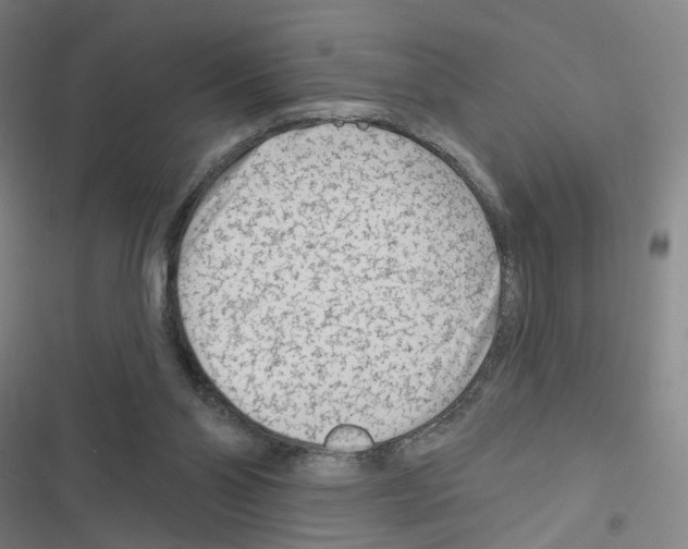 X0000116670110201001251247