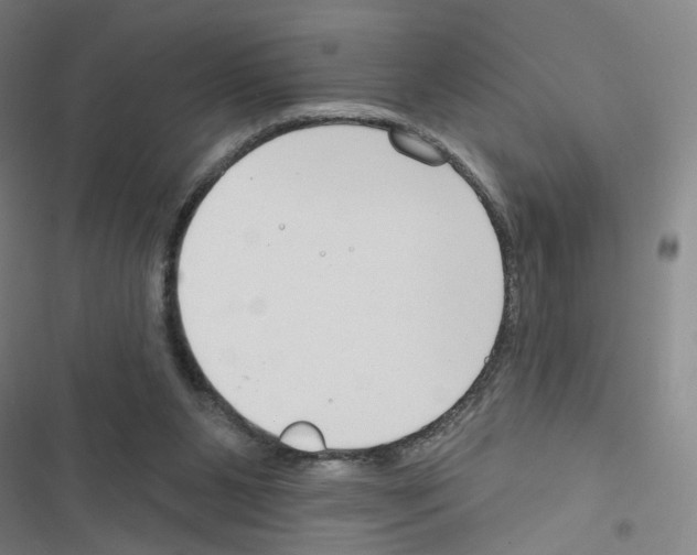 X0000116670111201001251247