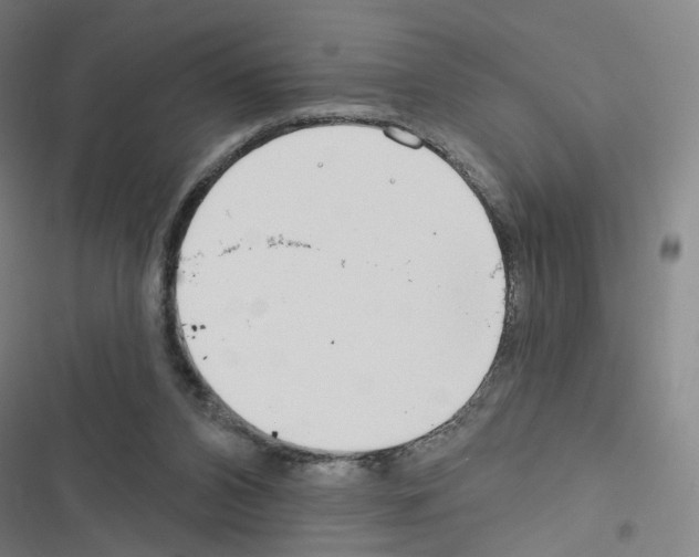 X0000116670112201001251247