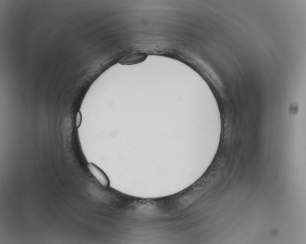 X0000116670113201001251247