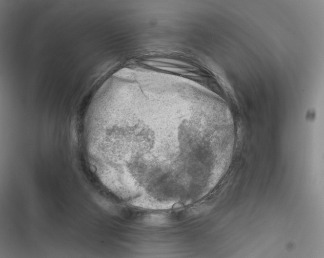 X0000116670114201001251247