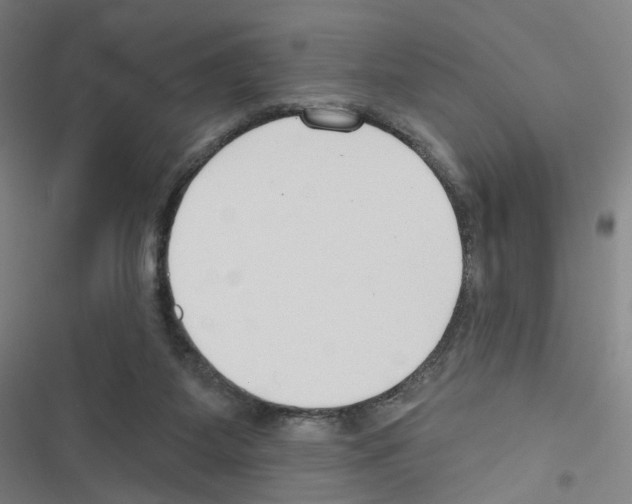 X0000116670115201001251247