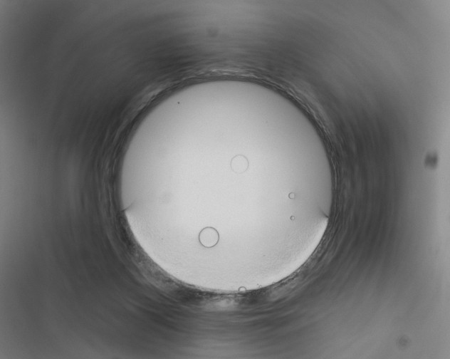 X0000116670116201001251247