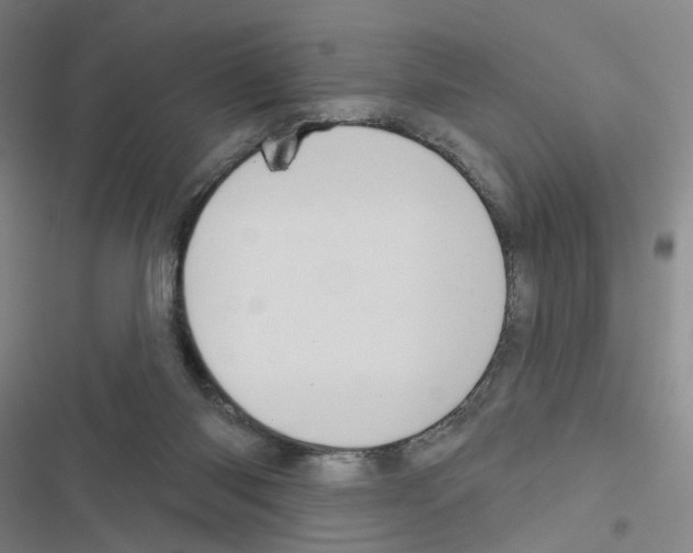 X0000116670118201001251247