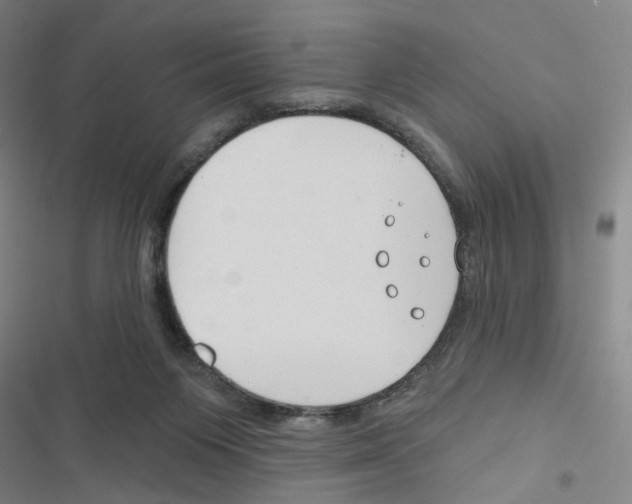 X0000116670119201001251247