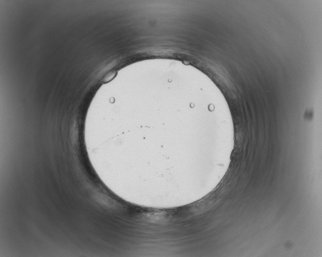 X0000116670120201001251247
