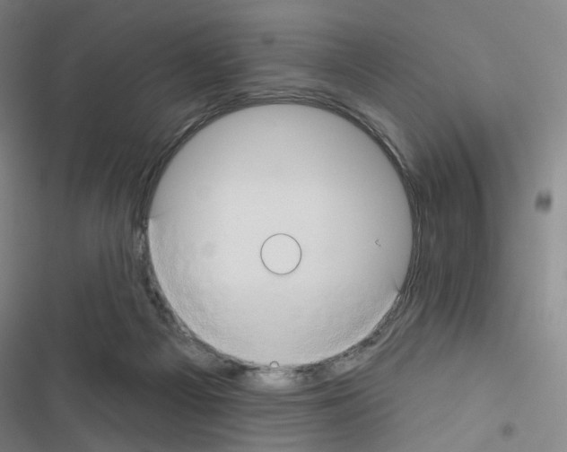 X0000116670121201001251247