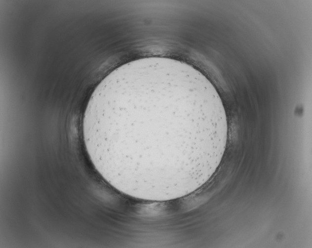 X0000116670122201001251247