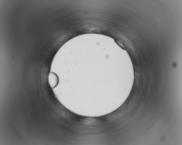 X0000116670123201001251247