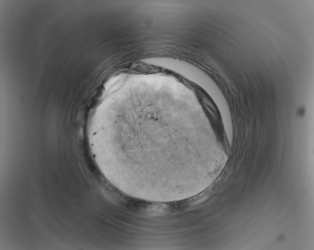X0000116670124201001251247