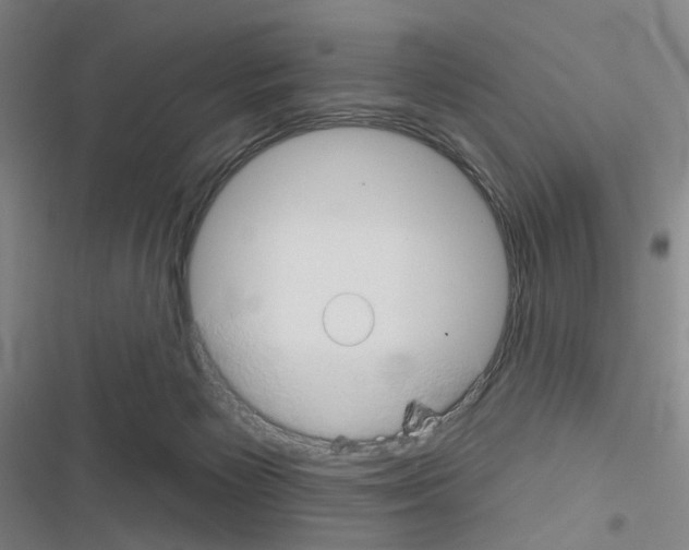 X0000116670125201001251247