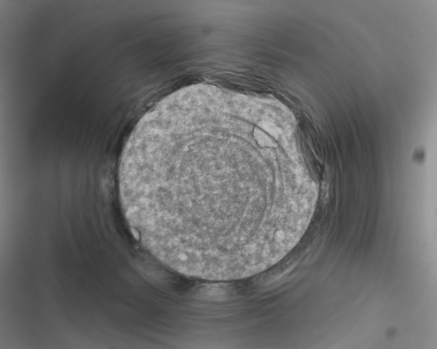 X0000116670127201001251247