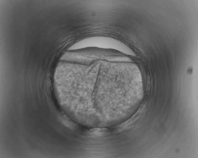 X0000116670128201001251247