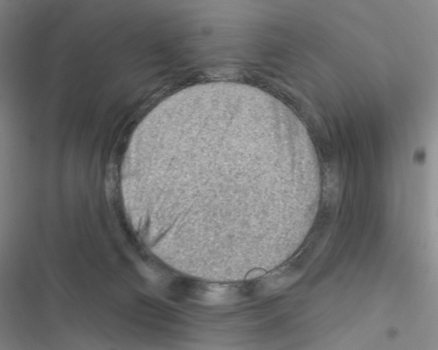 X0000116670130201001251247