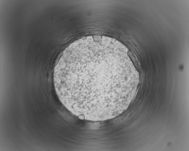 X0000116670131201001251247