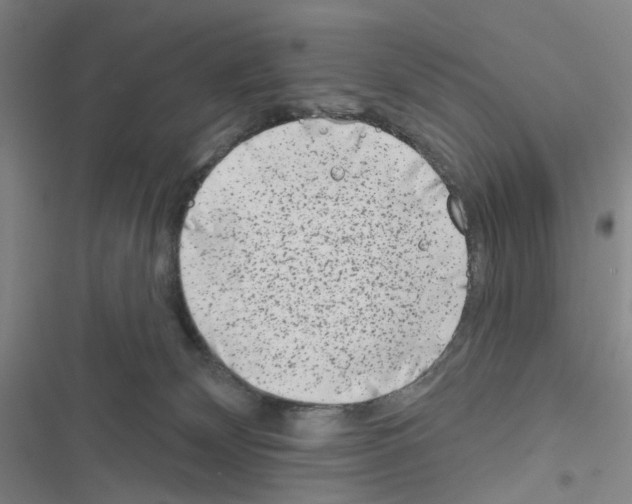 X0000116670132201001251247