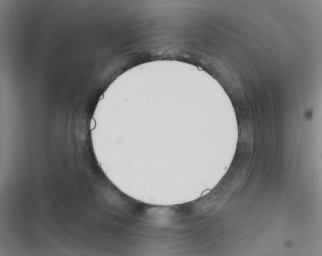 X0000116670133201001251247