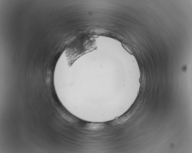 X0000116670135201001251247