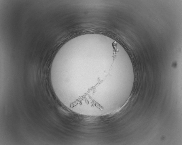 X0000116670136201001251247