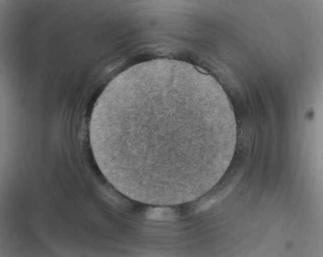 X0000116670137201001251247