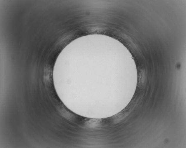 X0000116670138201001251247