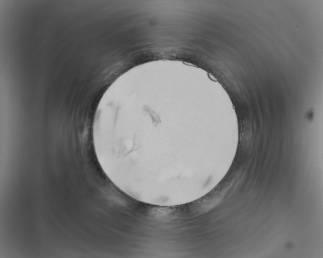X0000116670139201001251247