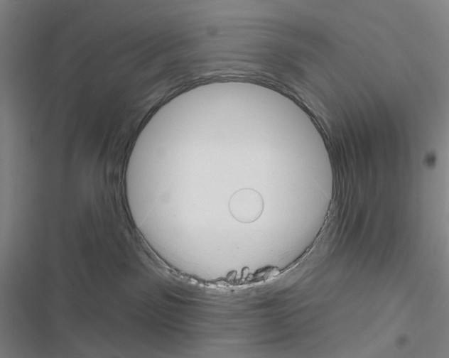 X0000116670141201001251247