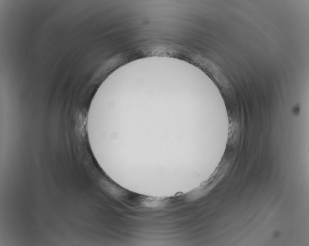 X0000116670142201001251247