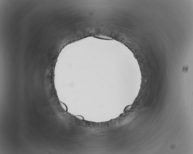 X0000116670144201001251246