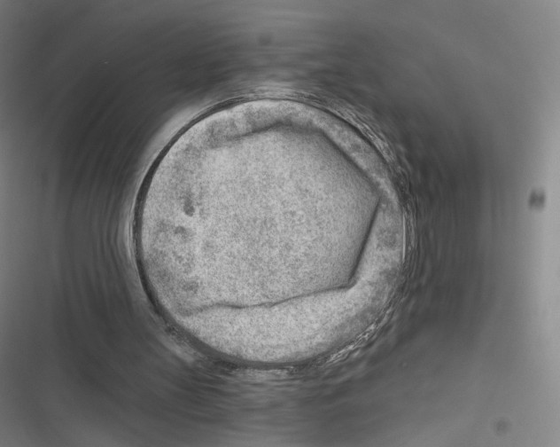 X0000116670147201001251246