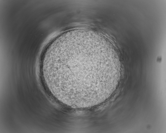 X0000116670149201001251246