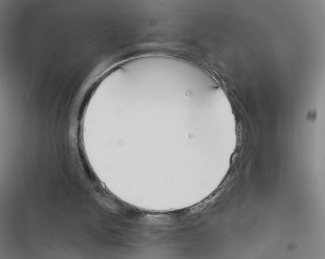X0000116670150201001251246