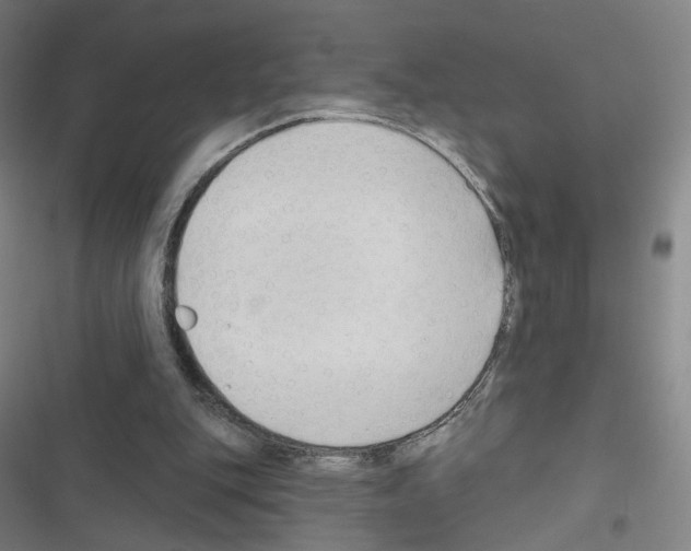 X0000116670151201001251246