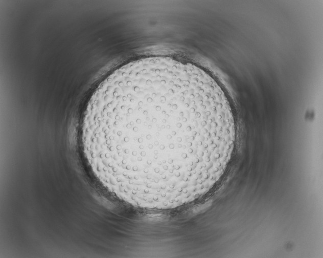 X0000116670153201001251246