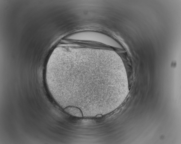 X0000116670154201001251246
