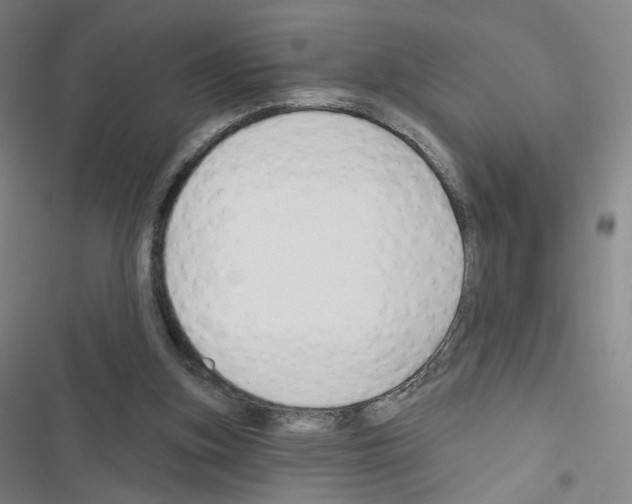 X0000116670155201001251246