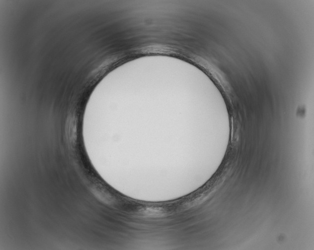 X0000116670157201001251246