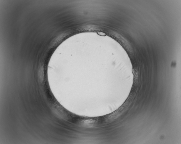 X0000116670158201001251246