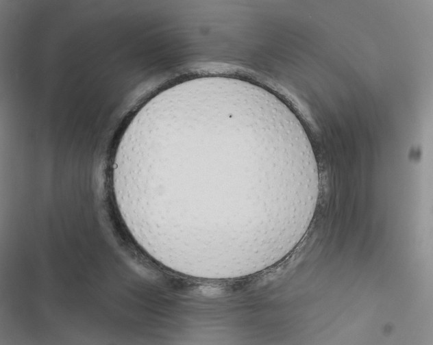 X0000116670159201001251246