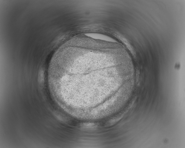 X0000116670161201001251246
