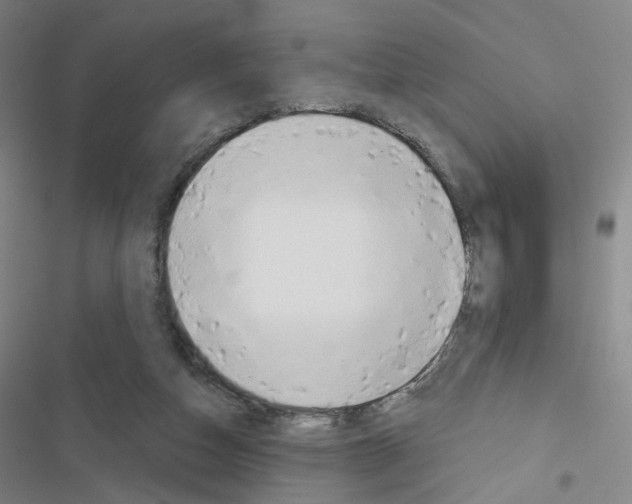 X0000116670162201001251246