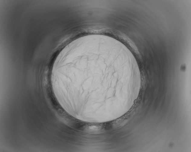 X0000116670163201001251246