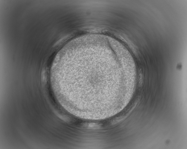 X0000116670165201001251246