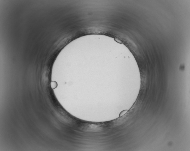 X0000116670166201001251246