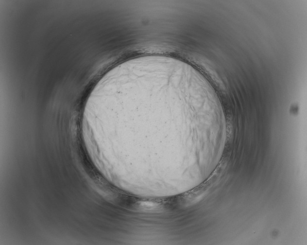 X0000116670167201001251246