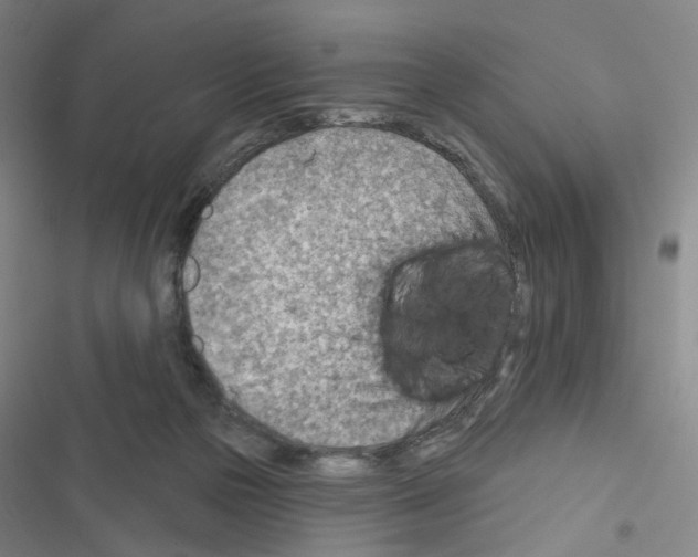 X0000116670169201001251246
