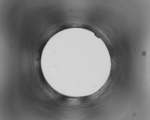 X0000116670170201001251246