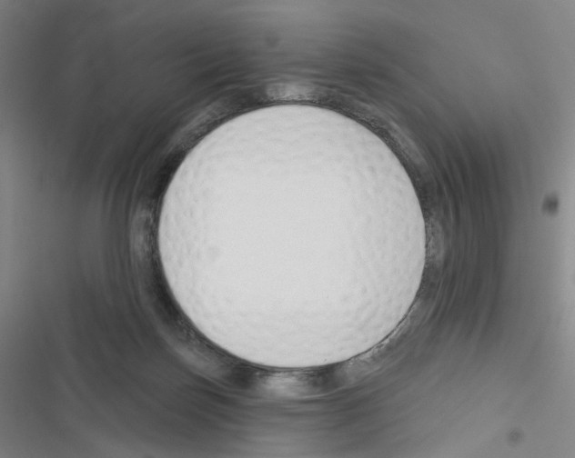 X0000116670171201001251246