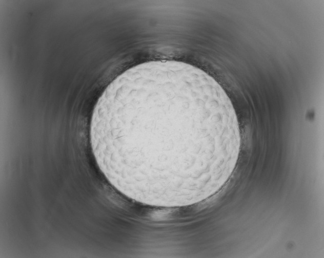 X0000116670178201001251246